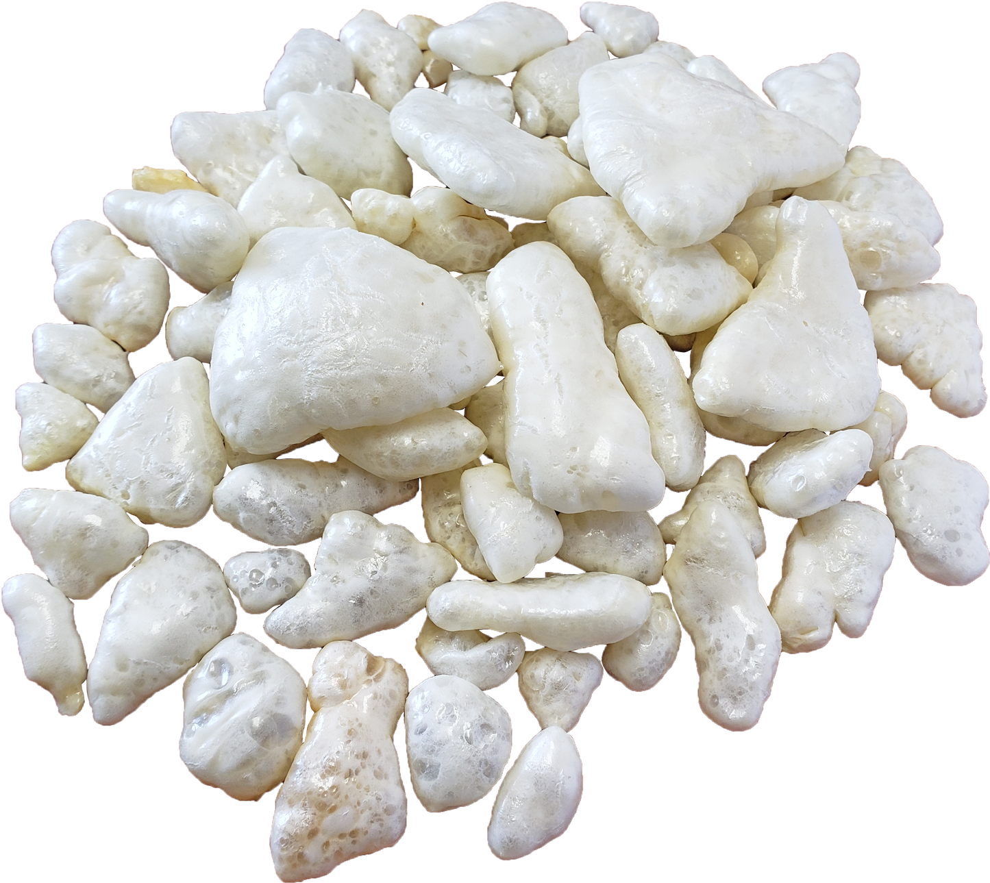 YakyCharms 12 pack