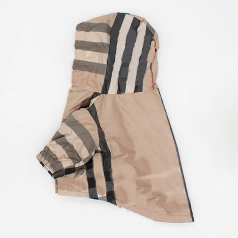 Burberry Jcket