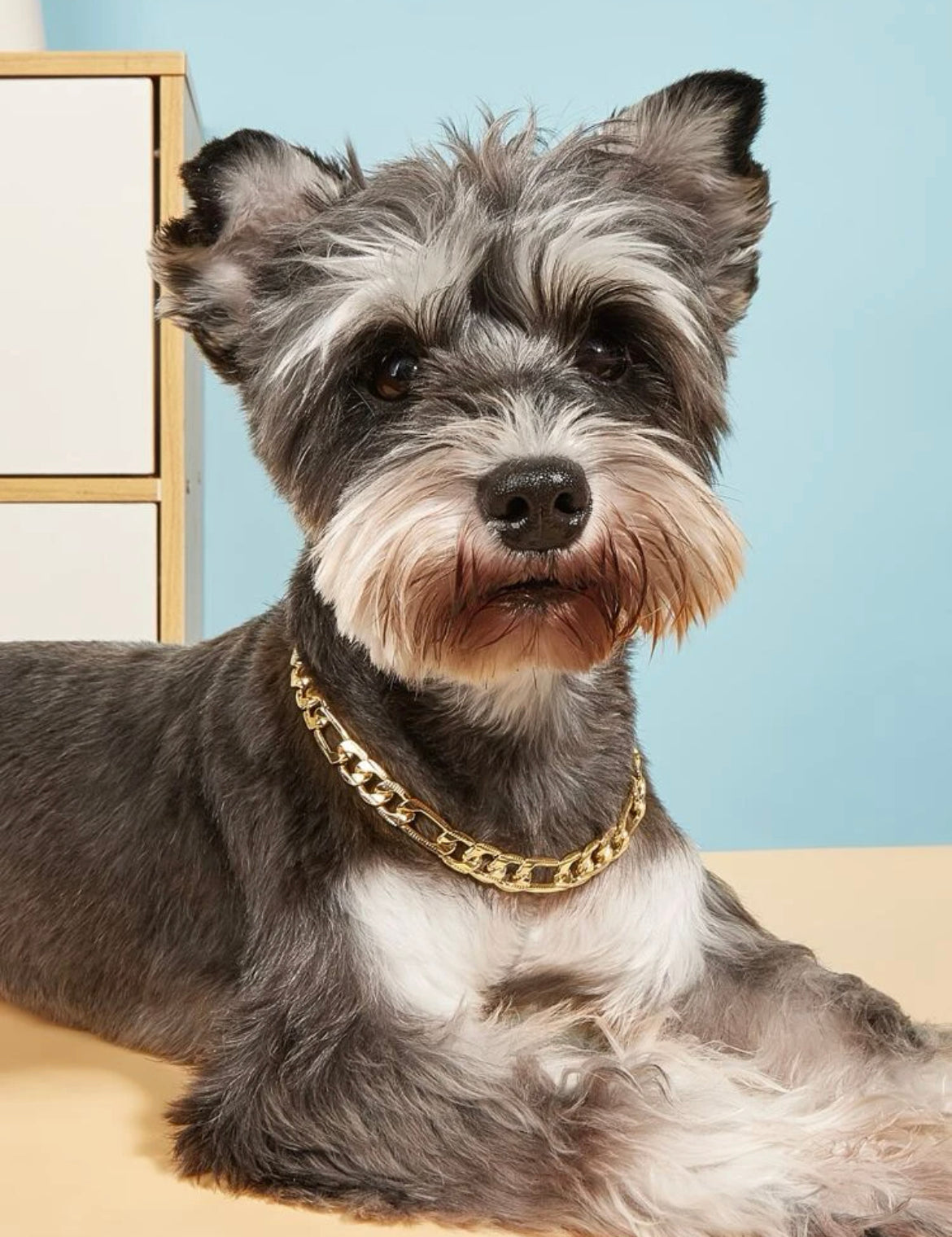 Gold Link Chain