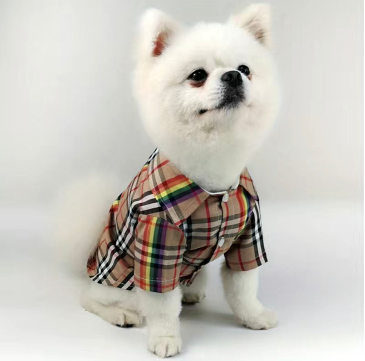 BarkBerry Shrit