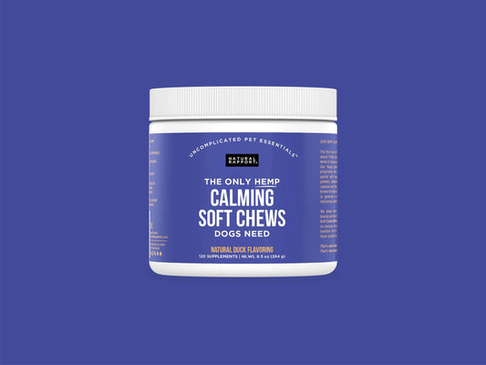 The Only Hemp Calming Soft Chews Dogs Need