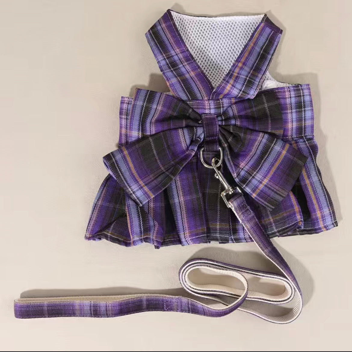 Lux Big Bow Harness with Matching Leash