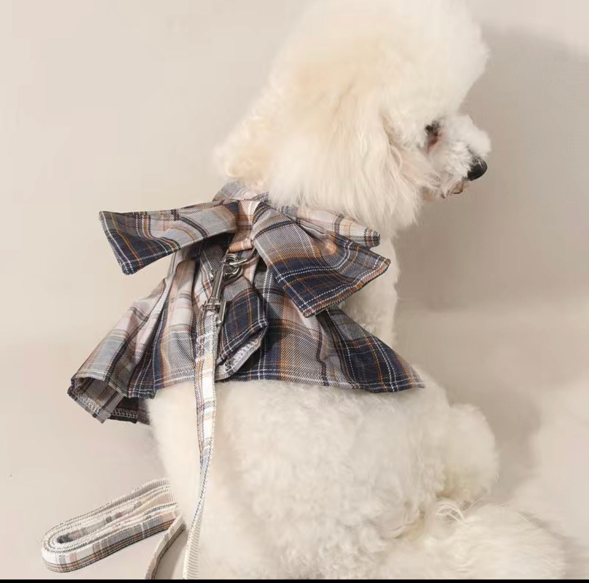 Lux Big Bow Harness with Matching Leash
