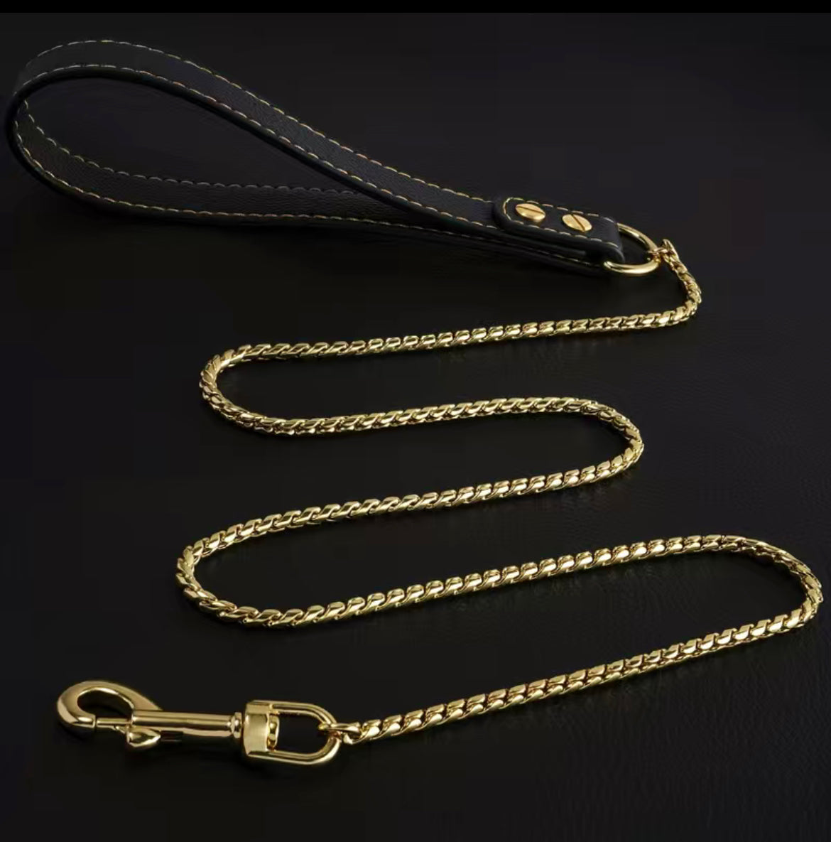 Gold Leash with leather handle